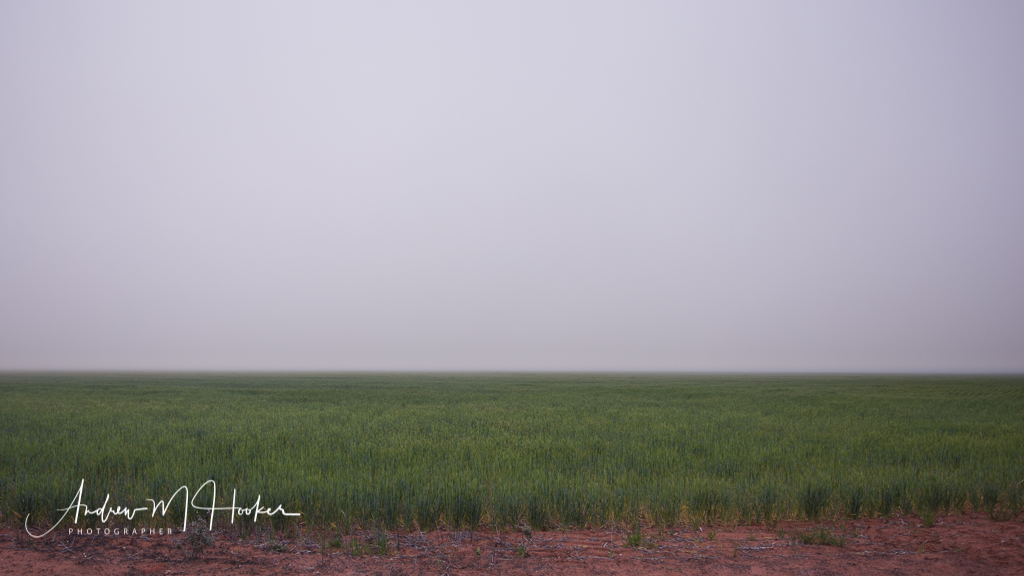 Fog Crop